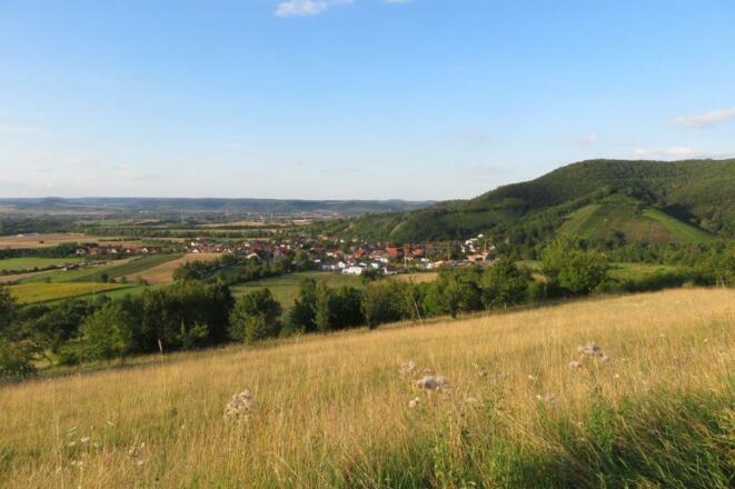 Blick unterhalb der Weinberge Richtung Zell
