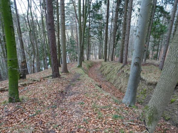 Steile Abfahrt ins Schweinbachtal