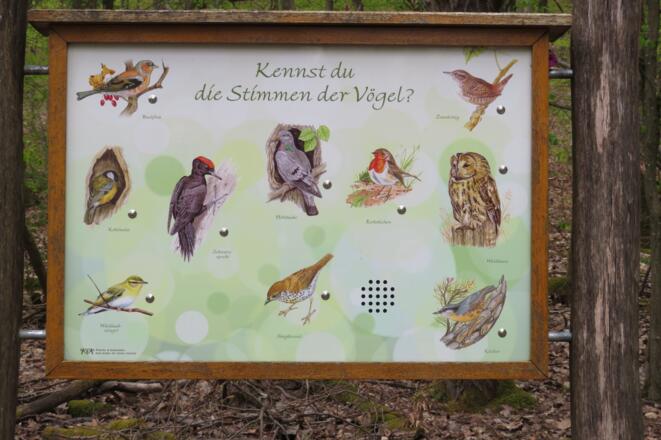 Vogelhörstation Pfad der Artenvielfalt