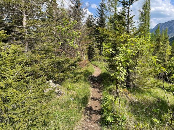 Pfannstein-Trail - Micheldorf