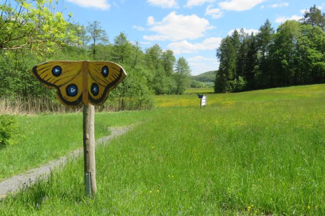 Feuchtwiese Pfad der Artenvielfalt
