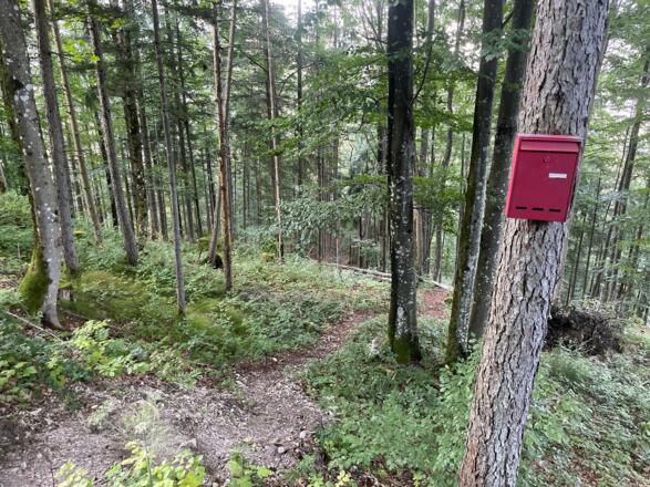 Lustiges Kegerl - Steyrdurchburch Trail