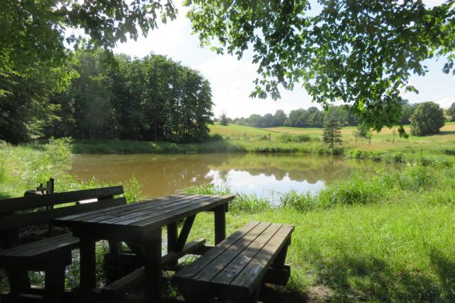 Seeblick