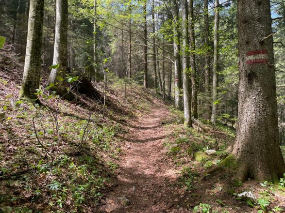 Pfannstein-Trail - Micheldorf