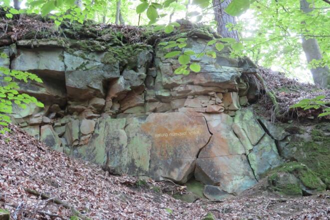 Inschrift Hermann de Vries