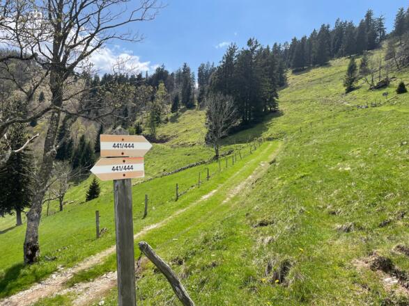 Pfannstein-Trail - Micheldorf