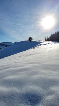 Rückblick zum Hochschelpen-Gipfel
