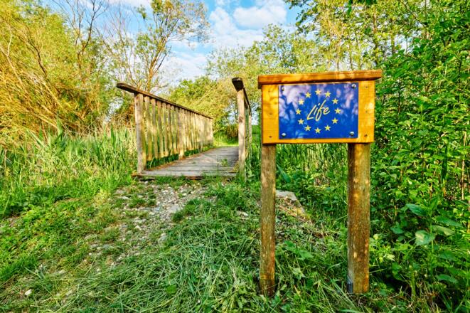 Steg am LIFE Erlebnsipfad Mainaue