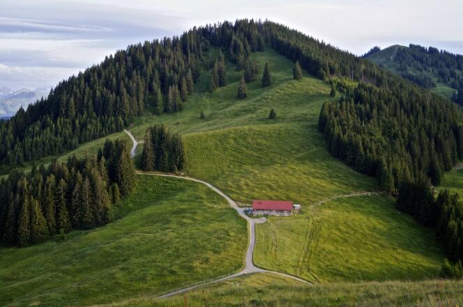 Fahnengehren Alpe im Abendlicht