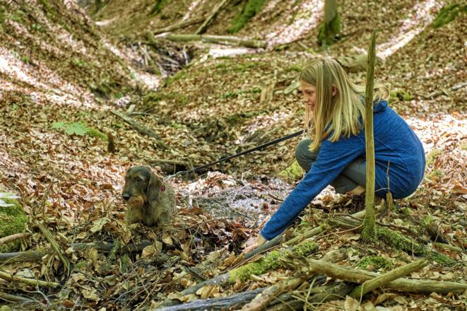 Auf dem Schlangenweg