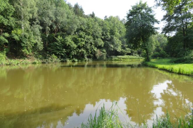 Weiher im Schulterbachtal