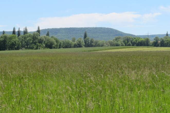 Blick auf Steigerwald