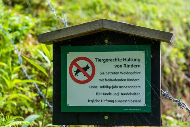 Warntafel Weidevieh