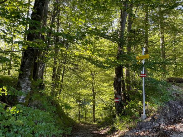 Lustiges Kegerl - Steyrdurchburch Trail