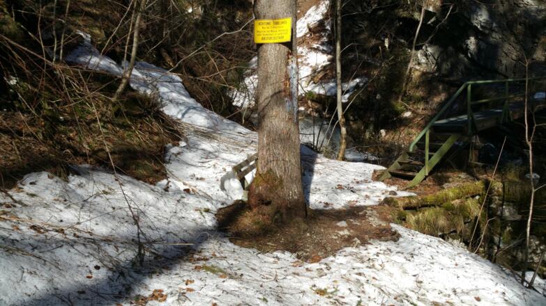 Hirschbachtobel - Beginn des eigentlichen Tobelwegs