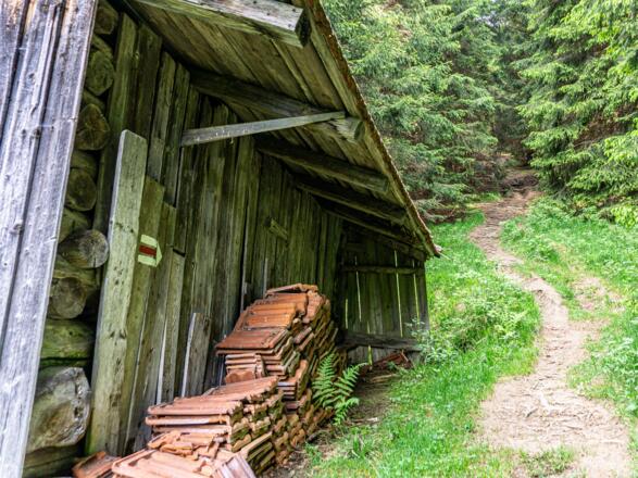 Wanderweg durch den Wald zur Gundhütte