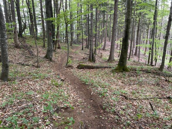 Pfannstein-Trail - Micheldorf