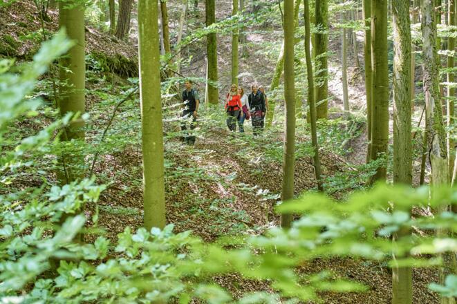 Auf dem Schlangenweg