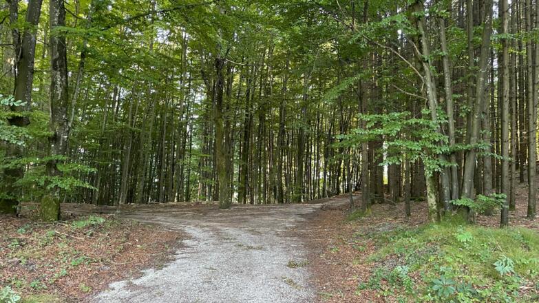 Lustiges Kegerl - Steyrdurchburch Trail