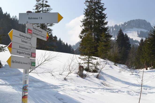 Der Weg ist gut ausgeschildert.