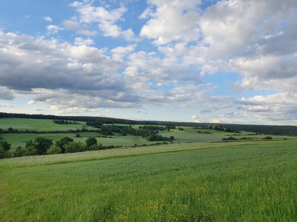 Tal der Rauhen Ebrach bei Untersteinbach - Theinheim