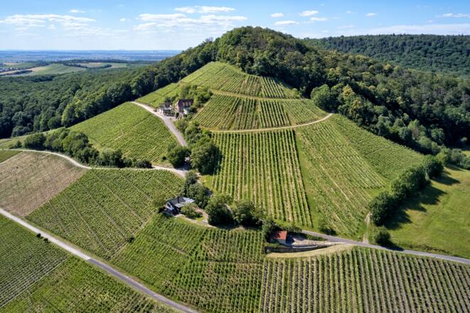 Blick auf die Stollburg Handthal