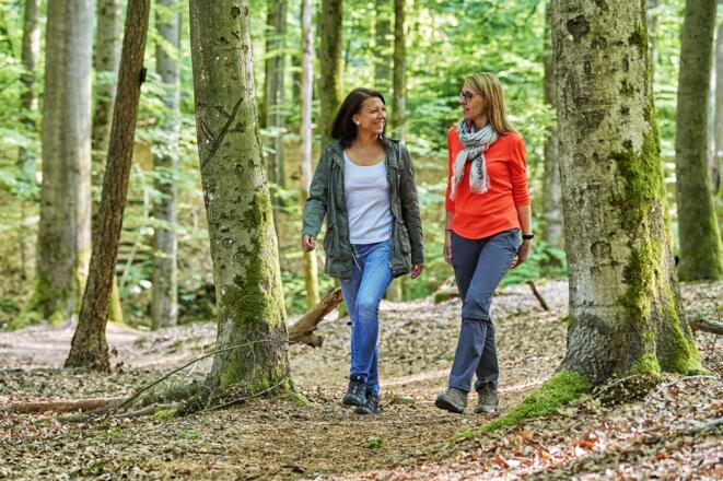 Naturpfad am Wotansborn