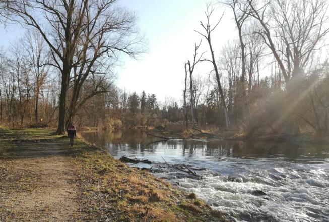 Amperschleife zwischen Langenbach und Inkofen