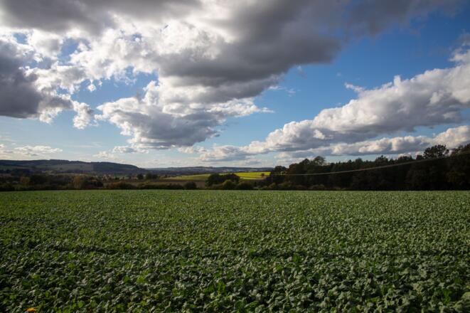 Lengham St Ulrich Ausblick