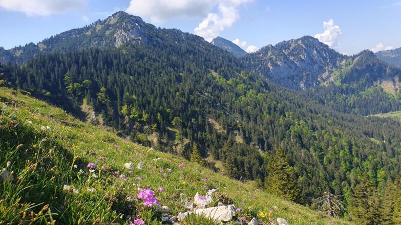 Blick zur Hochsalwand und Wendelstein