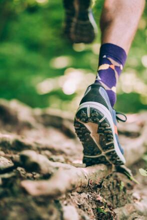 Auf waldigem Untergrund mit den Brooks Divide 4 auf den Mittag