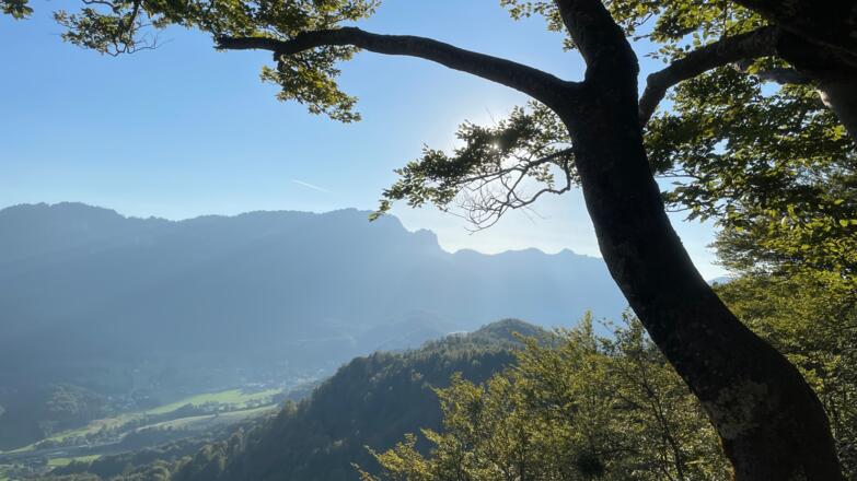 Lustiges Kegerl - Steyrdurchburch Trail