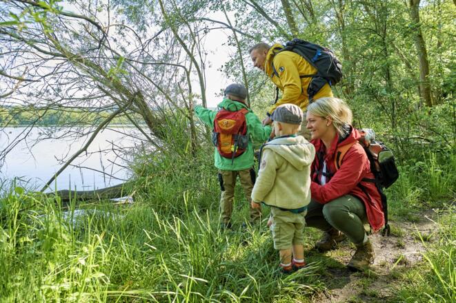 Vogelbeobachtung LIFE Erlebnispfad Mainaue
