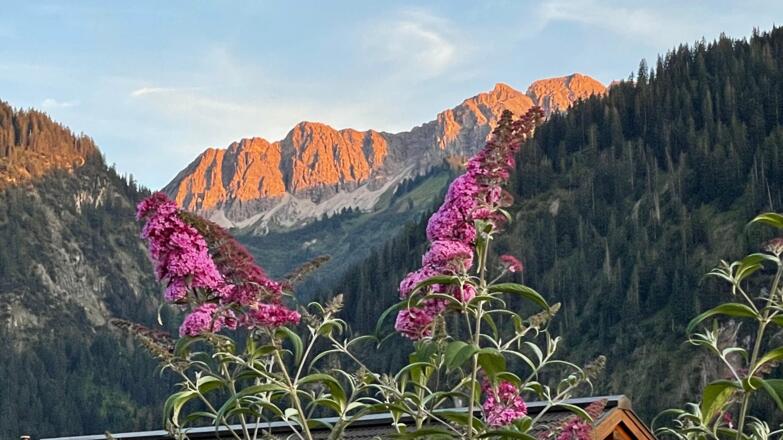 Landhaus Lignum - Südseite Blick in die Berge