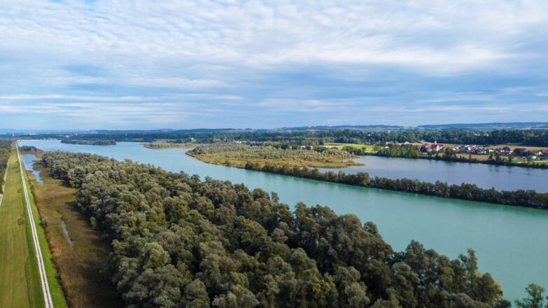 Um den Inn zu Gesicht zu bekommen, muss man ein Stück weit auf dem Damm laufen. Hier ein Blick von oben auf den Fluss, der Bayern hier von Österreich trennt.