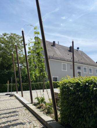 Marktplatz Au