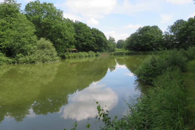 Weiher bei Fürnbach