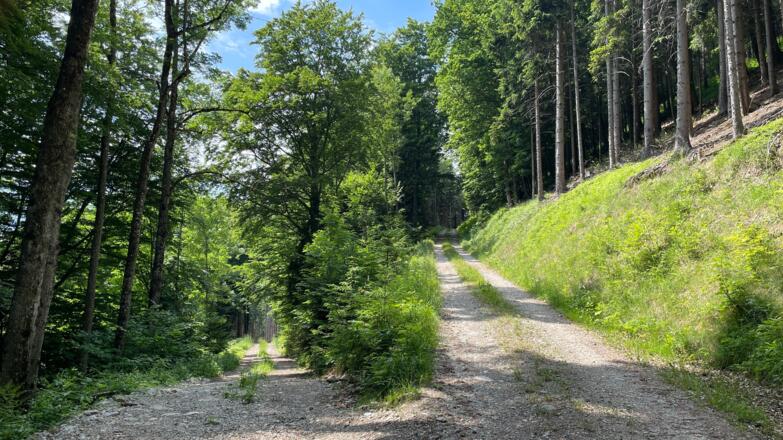 Glasenberg Trail - Maria Neustift