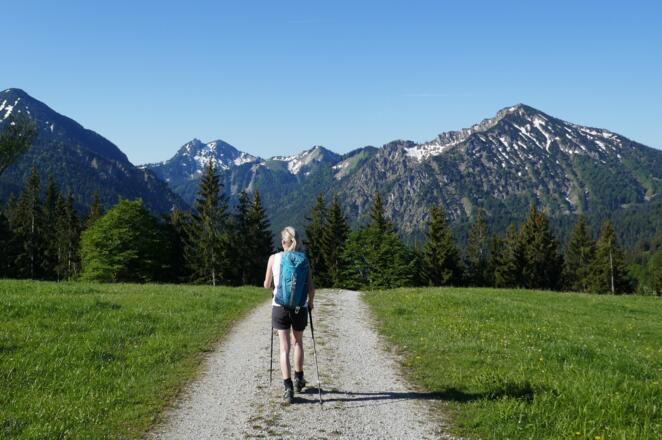 Herrliches Wandergebiet an der Wachselmoosalm mit Blick auf Roß- und Buchstein sowie den Ochsenkamp