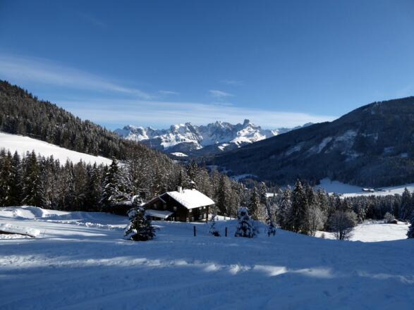 Letzter Rückblick auf den Gosaukamm bevor der Anstieg in einen Forstweg übergeht.