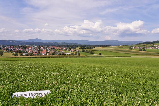Panoramawanderweg - Ausblick