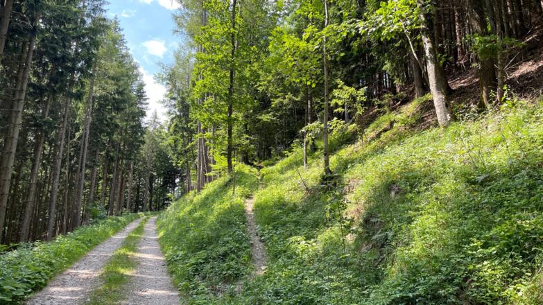 Glasenberg Trail - Maria Neustift