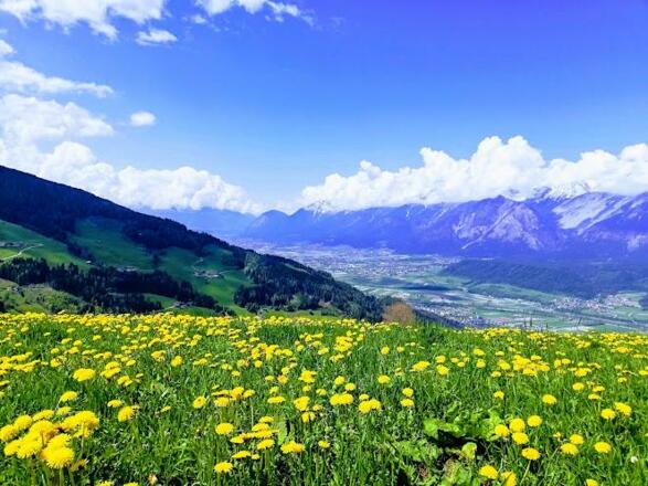 IMG_20220509_125014-EFFECTS