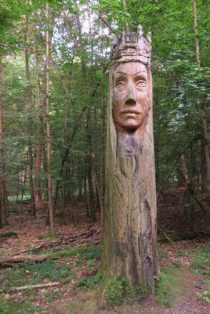 Königin des Waldes