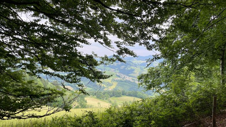 Glasenberg Trail - Maria Neustift