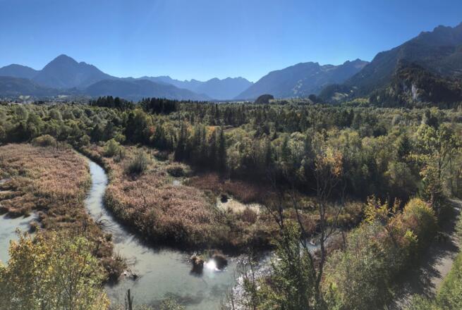 Landhaus Lignum - Vogelpark im nahe gelegenen Lechtal