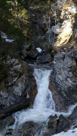 Hirschbachtobel - Einer der zahllosen Wasserfälle