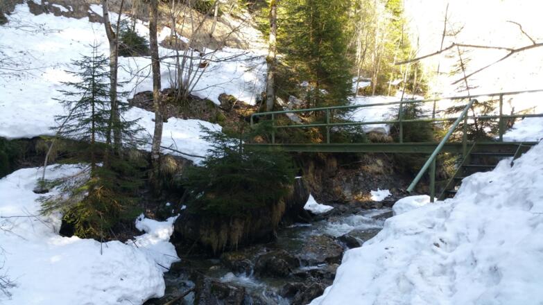 Hirschbachtobel - Vorletzte Brücke über den Hirschbach