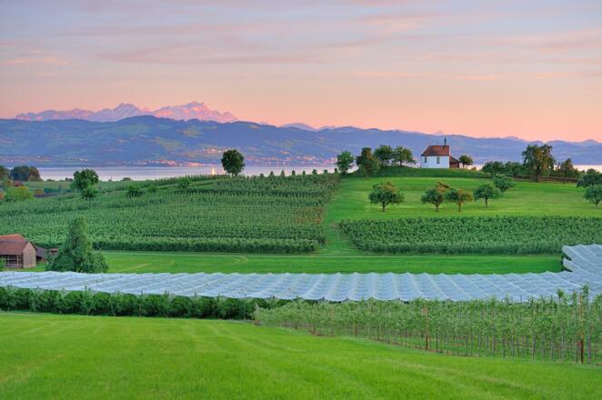 Blick zur Antoniuskapelle
