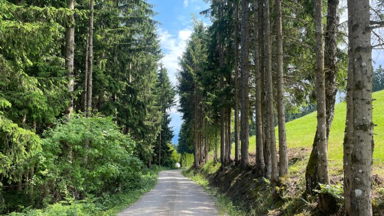 Glasenberg Trail - Maria Neustift